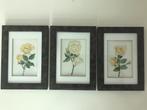 Set van 3 lijsten rozen handwerk achter glas, Antiek en Kunst, Curiosa en Brocante, Ophalen of Verzenden