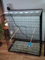 gloednieuwe grote vogelkooi, Dieren en Toebehoren, Vogels | Hokken en Kooien, Ophalen, Nieuw, Metaal, Vogelkooi