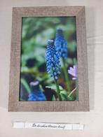 de dronken blauwe druif, Huis en Inrichting, Woonaccessoires | Schilderijen, Tekeningen en Foto's, Minder dan 50 cm, Nieuw, Foto of Poster