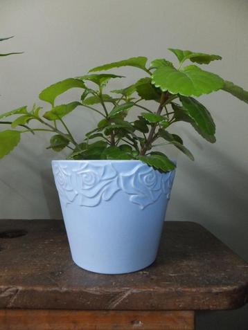 met verzenden vintage lichtblauwe bloempot rozen, W Germany beschikbaar voor biedingen