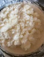 Melkkefir / Kefir, Diversen, Levensmiddelen, Ophalen