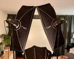 Elinchrom Rotalux strip softboxen 90x35cm (2 stuks), Ophalen, Lamp of Flitsset, Gebruikt, Elinchrom
