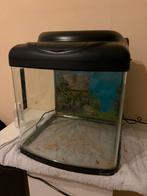 Kweekbak superfish 40 incl garnalen set, Ophalen, Zo goed als nieuw, Leeg aquarium