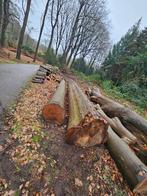 Haardhout Beuken hout, Tuin en Terras, Haardhout, Minder dan 3 m³, Ophalen, Beukenhout, Stammen