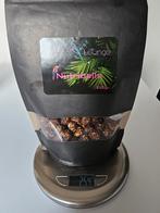 Nutriballs Parrot Lounge, Dieren en Toebehoren, Ophalen of Verzenden, Zo goed als nieuw, Eten en Drinken