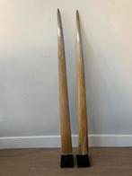 Set van 2 zwaardvisstronken, Ophalen, Zo goed als nieuw, Overige soorten, Overige typen