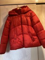 Rood dons jack te koop, Only, Maat 42/44 (L), Ophalen of Verzenden, Zo goed als nieuw