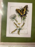 Ca 150 Borduurpakketen  afgeprijsd  vanaf €5.00, Hobby en Vrije tijd, Borduren en Borduurmachines, Ophalen, Nieuw, Handborduren