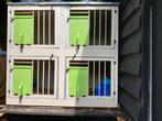Lichthok van 4, Dieren en Toebehoren, Vogels | Duiven, Mannelijk, Postduif