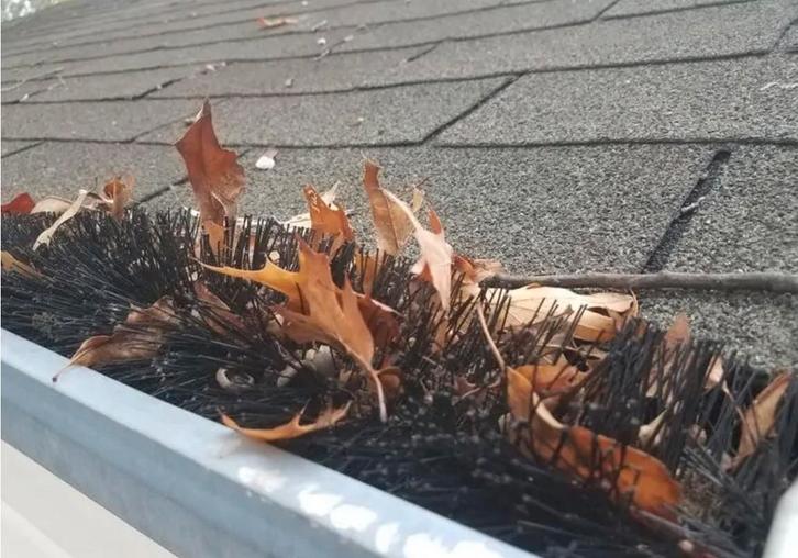 Vogelwering Dakgoot & Zonnepanelen - 4m, Ø15cm, Tuin en Terras, Terrasdelen en Vlonders, Nieuw, Kunststof, Ophalen of Verzenden