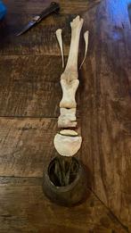 Opgezette dieren taxidermie mancave, Verzamelen, Dierenverzamelingen, Ophalen of Verzenden, Zo goed als nieuw, Vogel, Opgezet dier