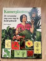 Kamerplanten, David Longman, David Longman, Ophalen of Verzenden, Zo goed als nieuw, Kamerplanten