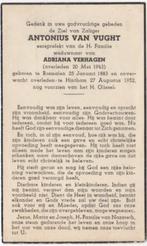 Antonius van Vught 1883 Rosmalen + 1952 Hintham, 69 jaar, Verzenden