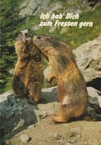 Ich hab Dich zum Fressen gern Leuke marmotten kaart, Verzamelen, Ansichtkaarten | Dieren, Verzenden, 1980 tot heden, Ongelopen