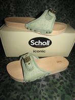 Scholl Iconic Pescura flat flex 38 nieuwe slippers dr scholl, Slippers, Scholl, Nieuw, Ophalen of Verzenden