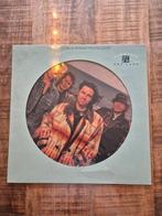 Marillion - Dry Land 12 inch Picture discj, Cd's en Dvd's, Vinyl | Rock, Ophalen of Verzenden, Gebruikt, 12 inch, Progressive