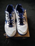 Heren sportschoenen Mizuno Wave Twister 4 mt 46,5, Sport en Fitness, Volleybal, Ophalen of Verzenden, Zo goed als nieuw, Schoenen