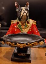 Franse Buldog in uniform met schaal, Ophalen of Verzenden