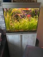 Aqualantis aquarium met meubel. Compleet, Verzenden, Zo goed als nieuw, Gevuld zoetwateraquarium