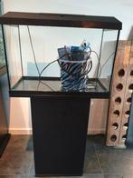 Aquarium Juwel primo lux 60, Dieren en Toebehoren, Vissen | Aquaria en Toebehoren, Ophalen, Leeg aquarium