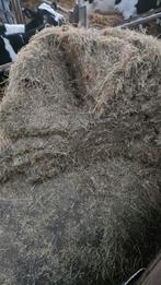 Hooi, de grootste pakken, Ophalen of Verzenden, Vee