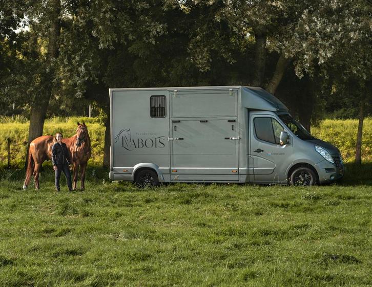 Paardentransport aangeboden, Diensten en Vakmensen, Dieren | Honden | Verzorging, Oppas en Les