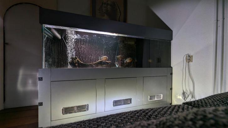 Groot aquarium 2m + sumpfilter + meubel, Dieren en Toebehoren, Vissen | Aquaria en Toebehoren, Zo goed als nieuw, Leeg aquarium