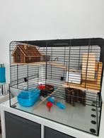 Te koop nette hamsterkooi, Dieren en Toebehoren, Kooi, Minder dan 75 cm, Zo goed als nieuw, Hamster