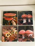 4 schilderijtjes met paddenstoelen - 4 luik, Ophalen of Verzenden, Zo goed als nieuw