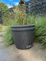 Bastard Large “bloempotten”, Verzenden, Minder dan 60 cm, Hba, Hout