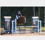 Bijrijd pony gezocht!!!, Ophalen of Verzenden, Nieuw