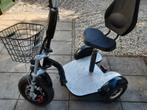 Mooie driewieler electrisch, Diversen, Brommobielen en Scootmobielen, Ophalen of Verzenden, Gebruikt, Overige merken, 16 km/u of meer