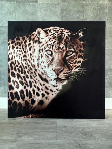 Cheeta -op zwart velvet 100x100 beschikbaar voor biedingen