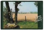 Limburg Veldkruis Gelopen Ansichtkaart ( B5971 ), Ophalen of Verzenden, 1980 tot heden, Gelopen, Limburg