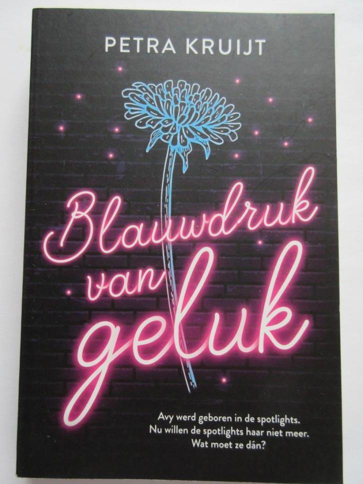 Petra Kruijt - Blauwdruk van geluk, Boeken, Romans, Zo goed als nieuw, Nederland, Ophalen of Verzenden