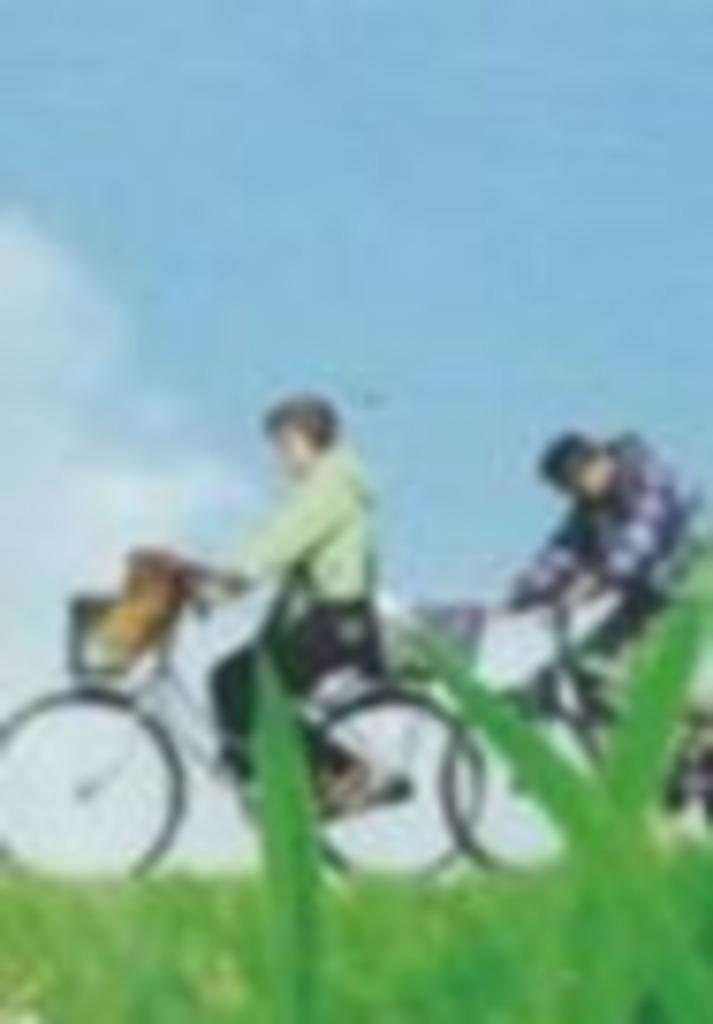 NU 1/2 PRIJS: De mooiste Wandel- en Fietsroutes in Nederland, Computers en Software, Educatie- en Cursussoftware, Nieuw, Verzenden