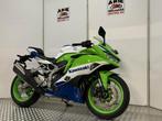 KAWASAKI NINJA ZX-4RR (bj 2024), 4 cilinders, Motorrijbewijs A, Bedrijf, Super Sport