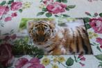 Roofkatten Postkaart - Schattig klein Tijger Welpje, Tiger, Verzenden, 1980 tot heden, Ongelopen, Wild dier