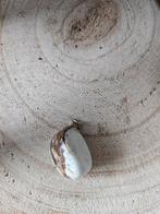 Chrysopraas hanger, Verzamelen, Mineralen en Fossielen, Ophalen of Verzenden, Mineraal