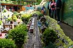 LGB Rails gezocht voor Miniatuurpark BerBuland, Ophalen of Verzenden, Gebruikt, Overige merken