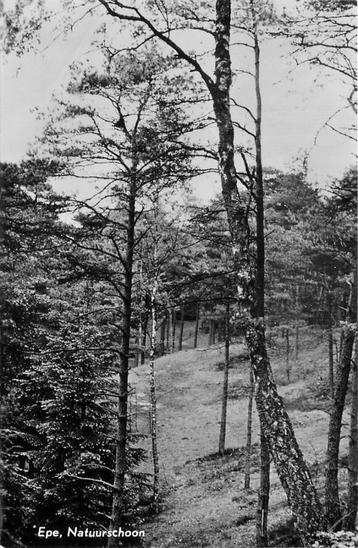 (387-110-045) Epe Natuurschoon beschikbaar voor biedingen