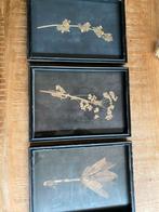3 Decoratieve lijstjes met bloemafbeelding, Ophalen of Verzenden, Zo goed als nieuw, Schilderij, Minder dan 50 cm