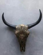 Buffel schedel, Huis en Inrichting, Ophalen, Zo goed als nieuw