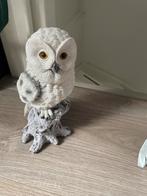 Sneeuwuil Dierenbeeld, Ophalen of Verzenden, Zo goed als nieuw, Dier