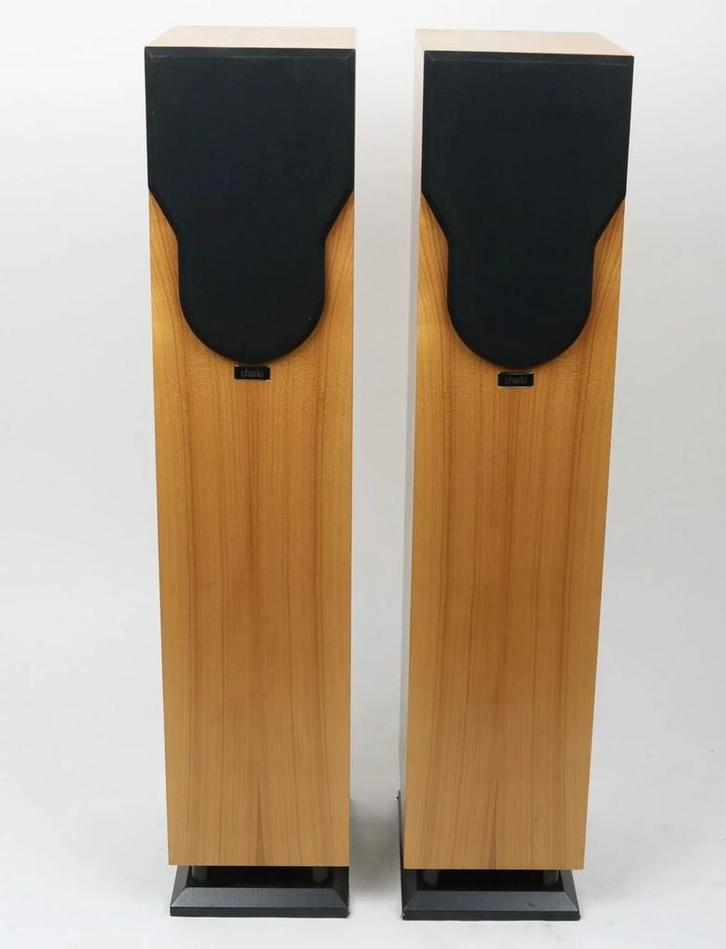 Chario Syntar 100 Tower, Audio, Tv en Foto, Luidsprekers, Front, Rear of Stereo speakers, Overige merken, Ophalen of Verzenden