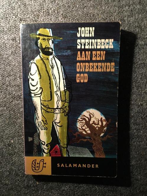 Aan een onbekende God ; door John Steinbeck #USA, Boeken, Literatuur, Gelezen, Amerika, Ophalen of Verzenden