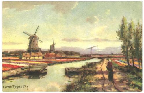 962298	Bloembollenvelden	Bollenvelden	ILL André Reynders	Onb, Verzamelen, Ansichtkaarten | Nederland, Ongelopen, Ophalen of Verzenden
