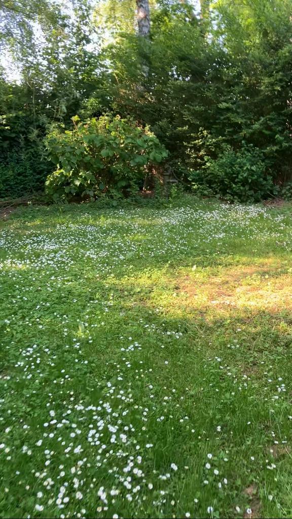 Landbouw/ recreatiegrond perceel, Dieren en Toebehoren, Stalling en Weidegang