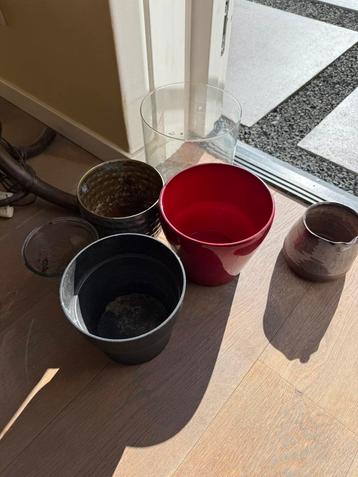 Diverse bloempotten te koop beschikbaar voor biedingen