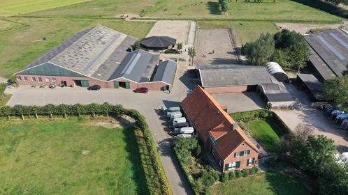 Breda Betaalbare Pensionstalling, Dieren en Toebehoren, Stalling en Weidegang, Stalling, Weidegang